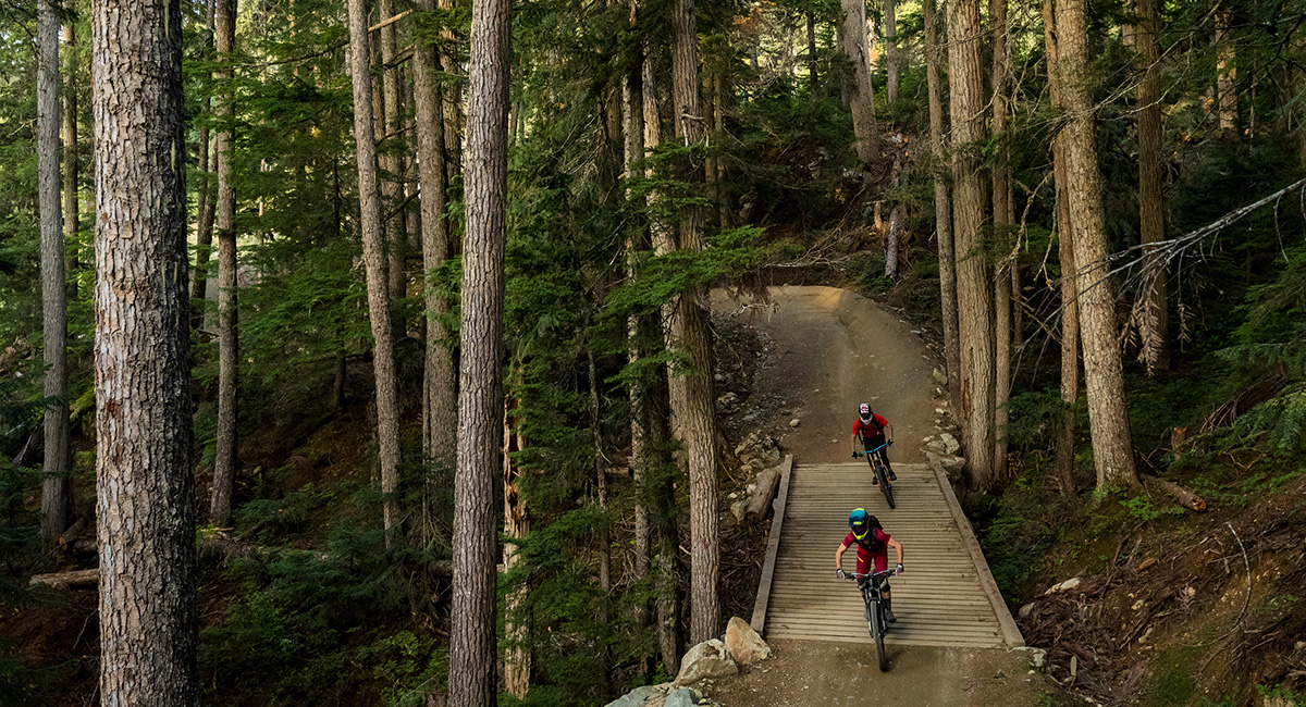 Experience Thrilling Adventure at Whistler Bike Park插图4