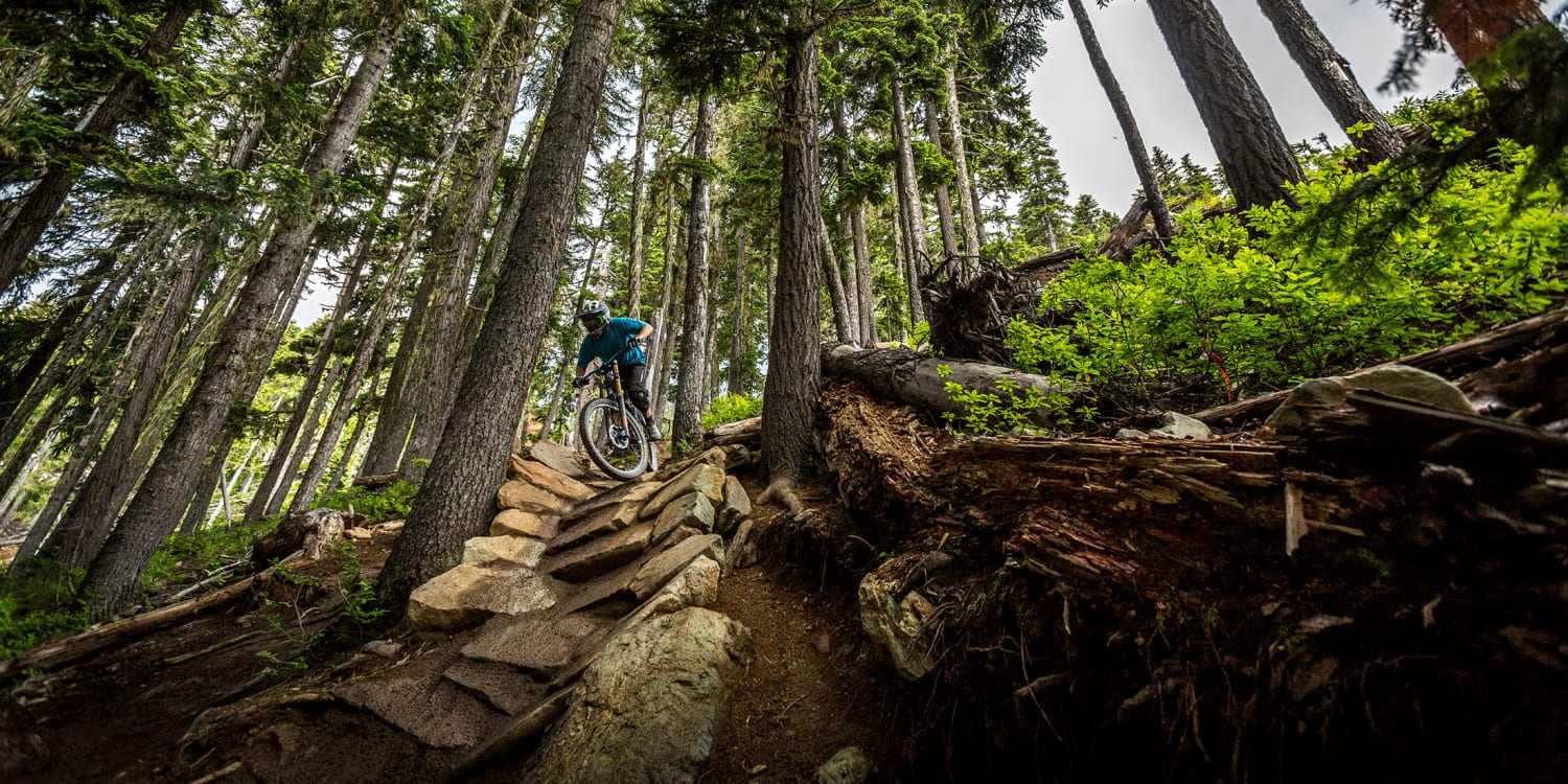 Experience Thrilling Adventure at Whistler Bike Park插图5