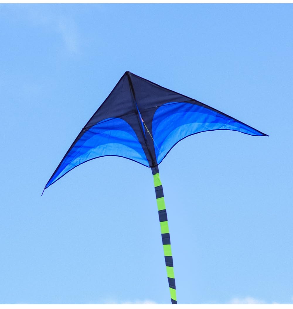 Large Delta Kite for Kids