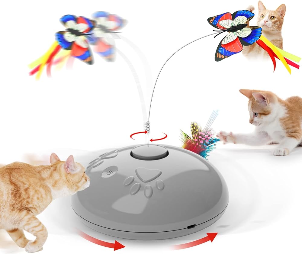 interactive  cat toy