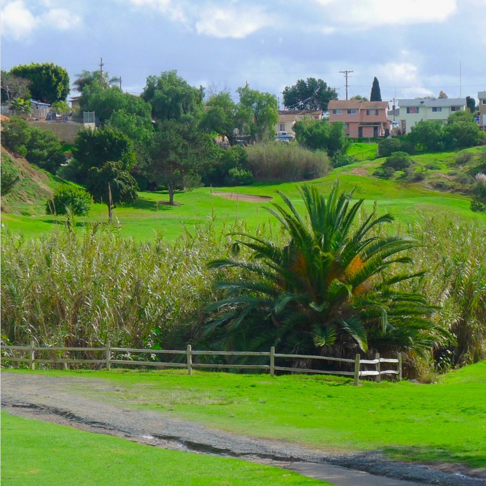 national city golf course