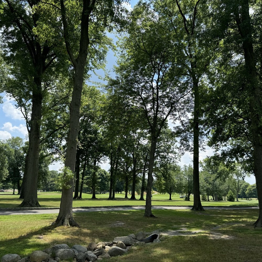 bergen county golf