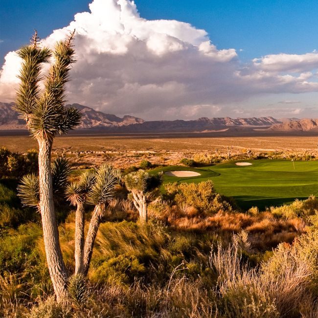 paiute-golf