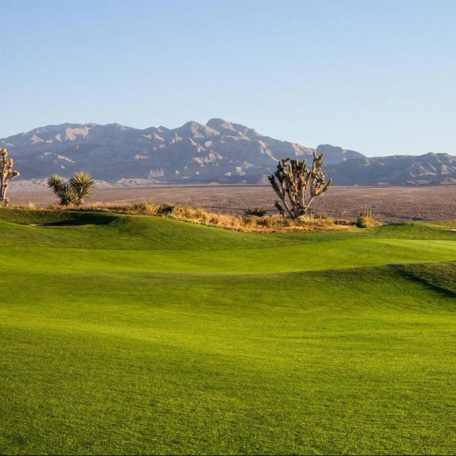 paiute-golf-resort-snow-mountain