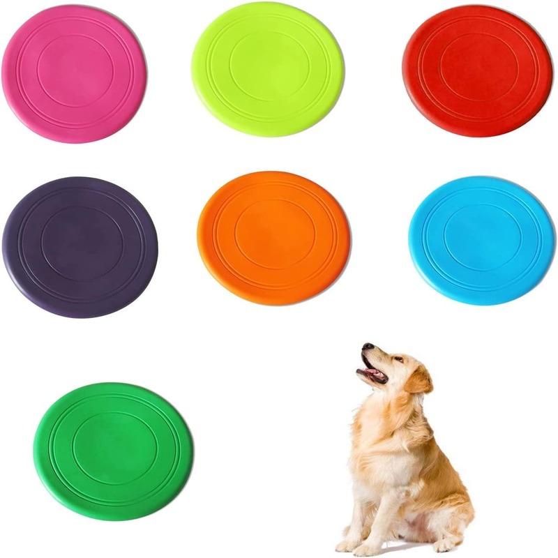 Dog frisbee