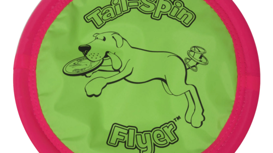 dog frisbee