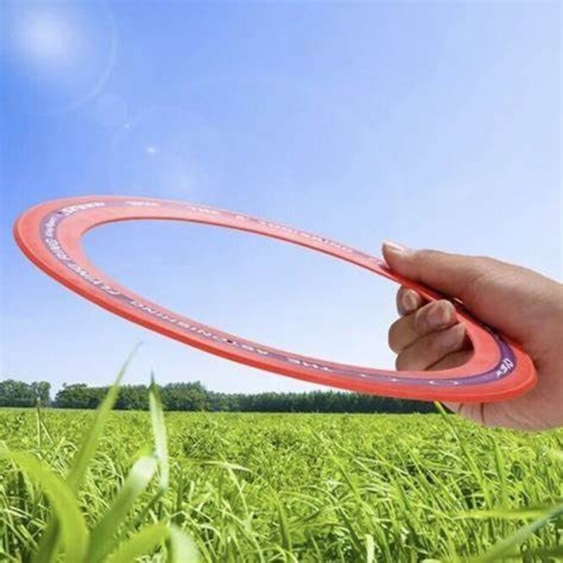 Frisbee ring